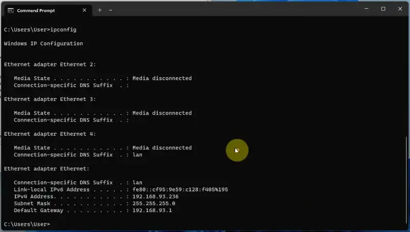 Interface disappear in the IP config